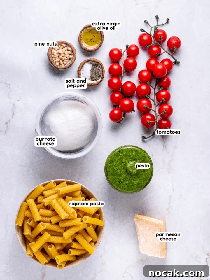 Pesto Rigatoni with Burst Cherry Tomatoes and Creamy Burrata 4 picture of the ingredients needed to make the featured recipe