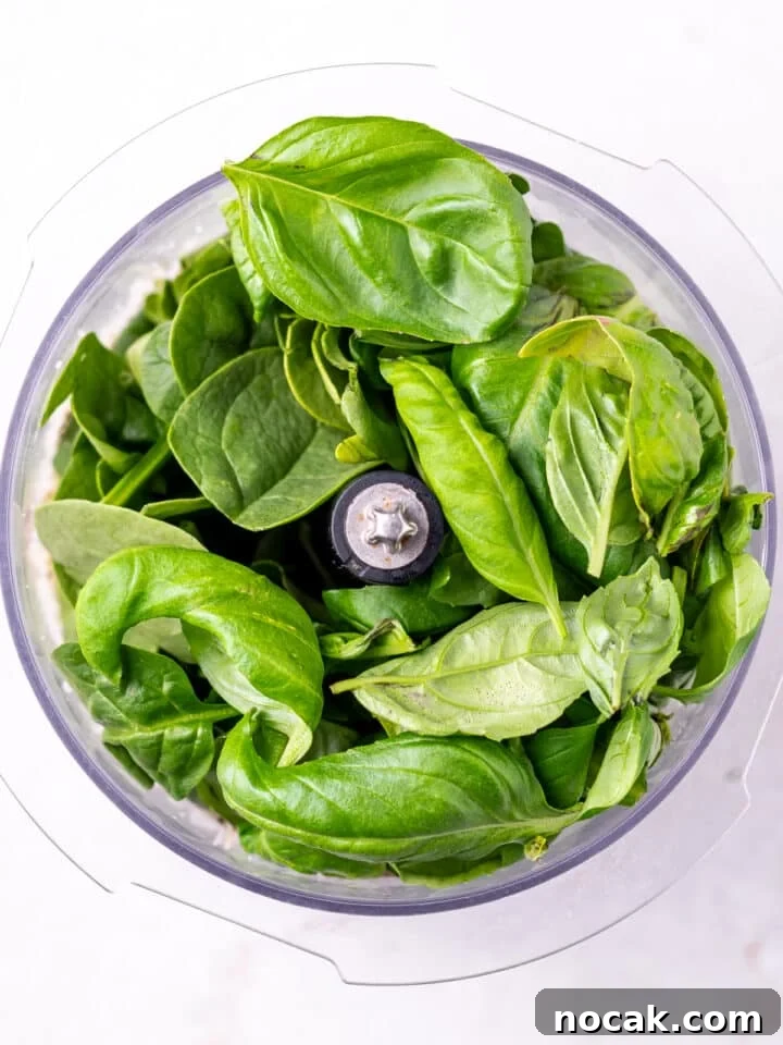 Pesto Rigatoni with Burst Cherry Tomatoes and Creamy Burrata 7 fresh basil and other pesto ingredients in a food processor