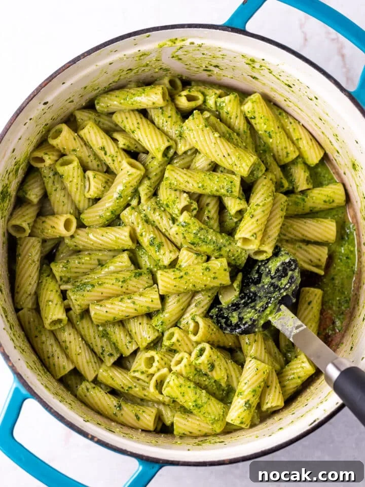 Pesto Rigatoni with Burst Cherry Tomatoes and Creamy Burrata 10 large pot with pesto rigatoni pasta