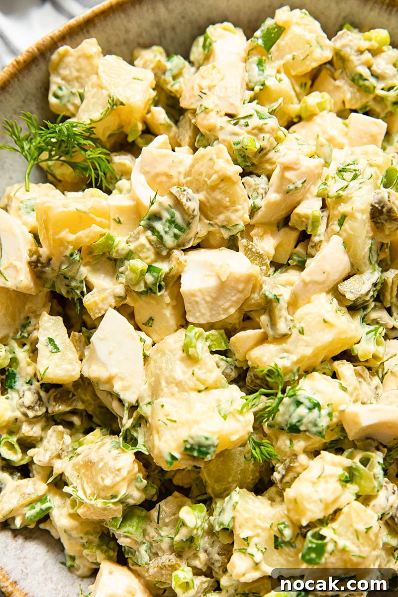 Creamy Dill Potato Salad with Fresh Herbs 4 close up of potato salad