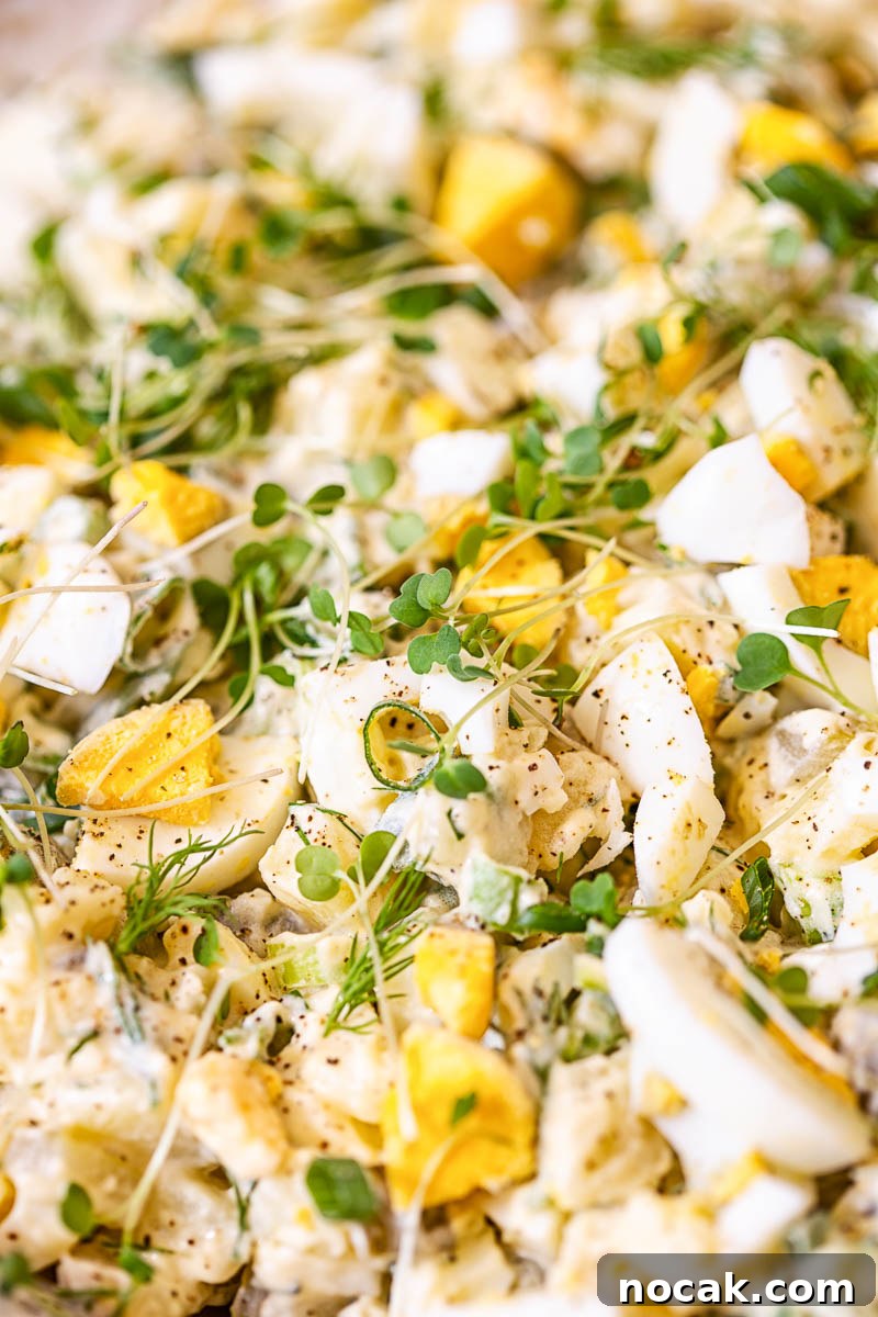 Creamy Dill Potato Salad with Fresh Herbs 7 Closeup showing microgreens and other ingredients