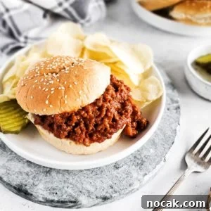 Flavorful Homemade Sloppy Joes Recipe for Classic Comfort Meals 9 A plate containing a sloppy Joe on a bun, pickles, and chips.
