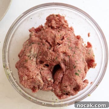 Classic Italian Fried Meatballs Recipe — Crispy, Savory Plates 4 Meatball mixture combined in a bowl.