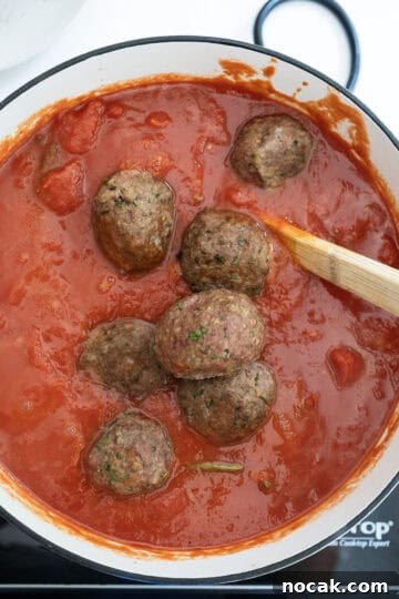 Classic Italian Fried Meatballs Recipe — Crispy, Savory Plates 10 Meatballs added to tomato sauce.