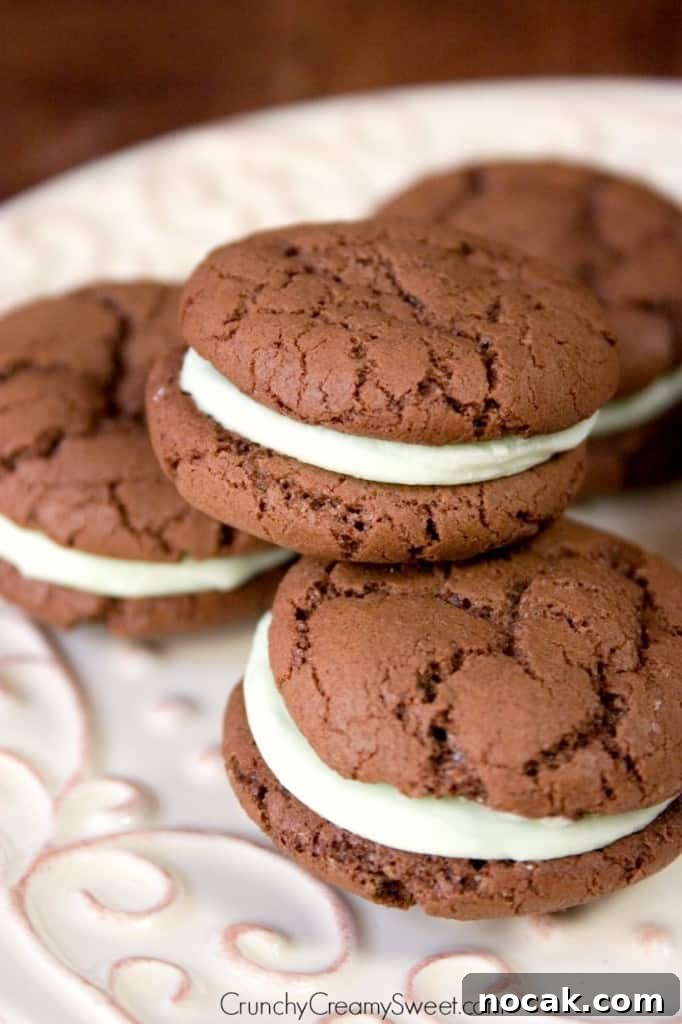 Chocolate Mint Cookies Chocolate Mint Cookies