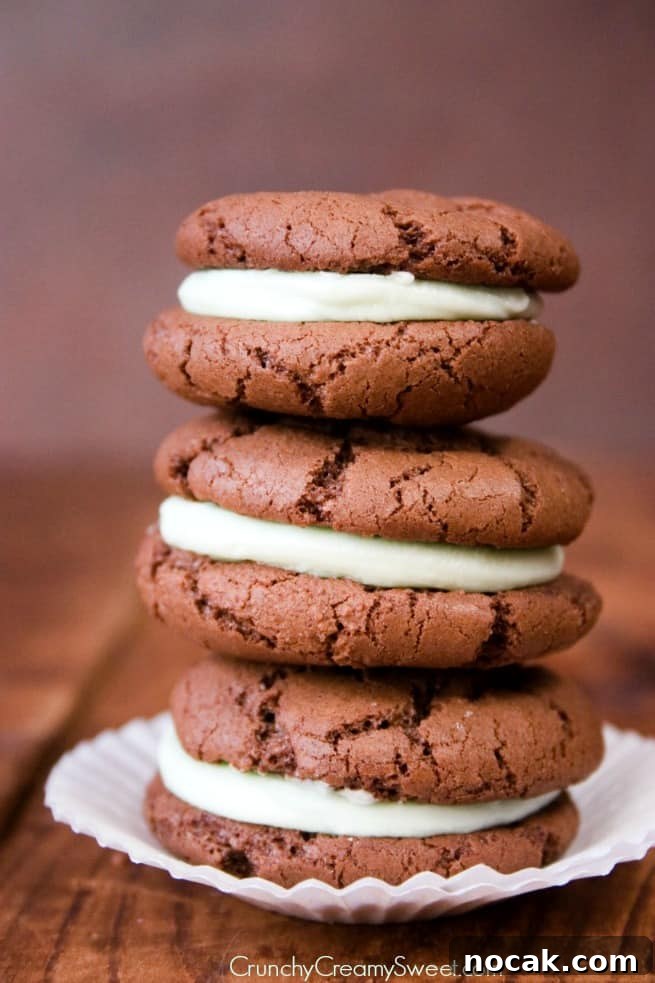 Chocolate Sandwich Cookies Chocolate Sandwich Cookies