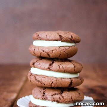 Chocolate Mint Sandwich Cookies Recipe for Perfect Homemade Treats 2 Chocolate Mint Sandwich Cookies