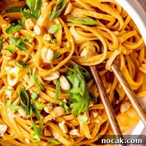 Creamy Spicy Peanut Noodles with Garlic and Lime 14 Easy Saucy Peanut Noodles - Olivia Adriance