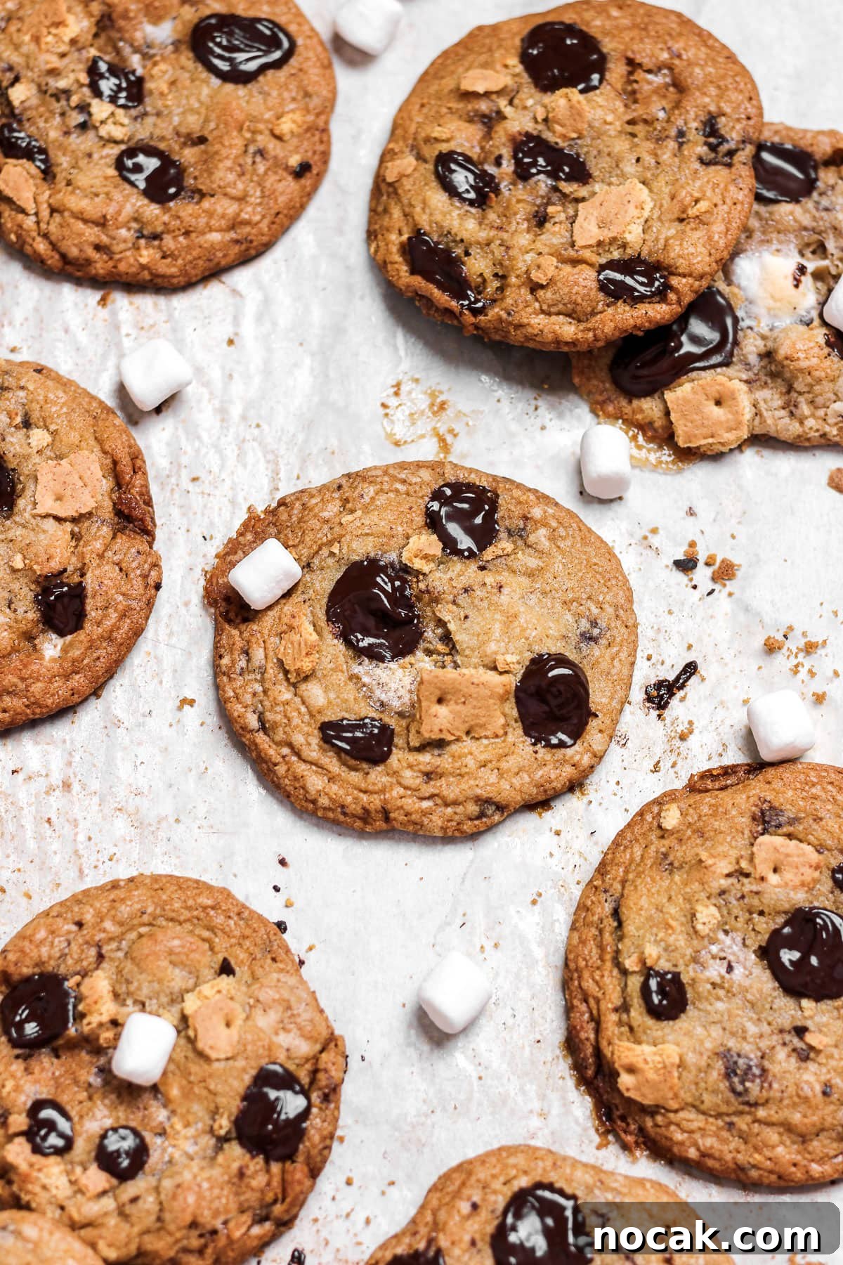 Chewy S’mores Cookie Recipe — Gooey Chocolate & Toasted Marshmallow 2 smores chocolate chip cookies with marshmallows