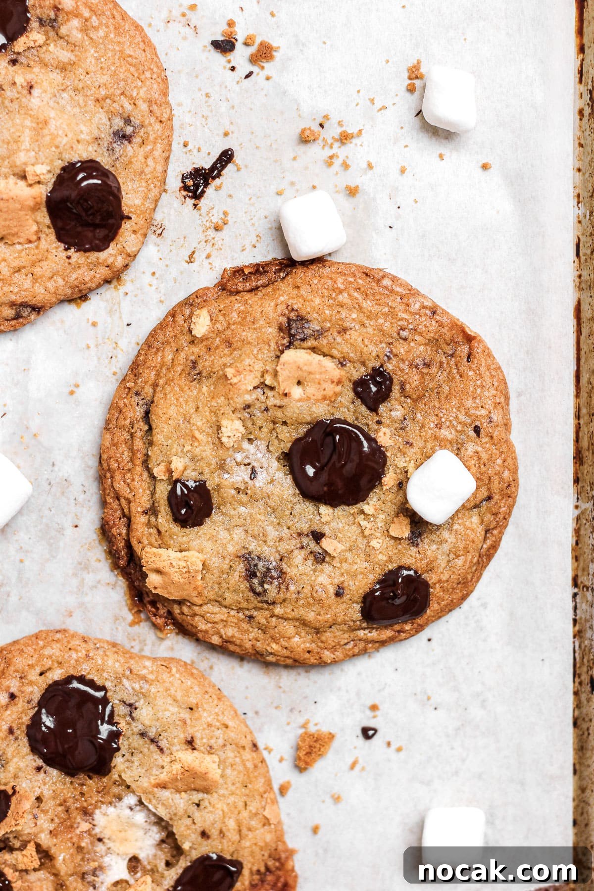 Chewy S’mores Cookie Recipe — Gooey Chocolate & Toasted Marshmallow 3 smores chocolate chip cookies with marshmallows