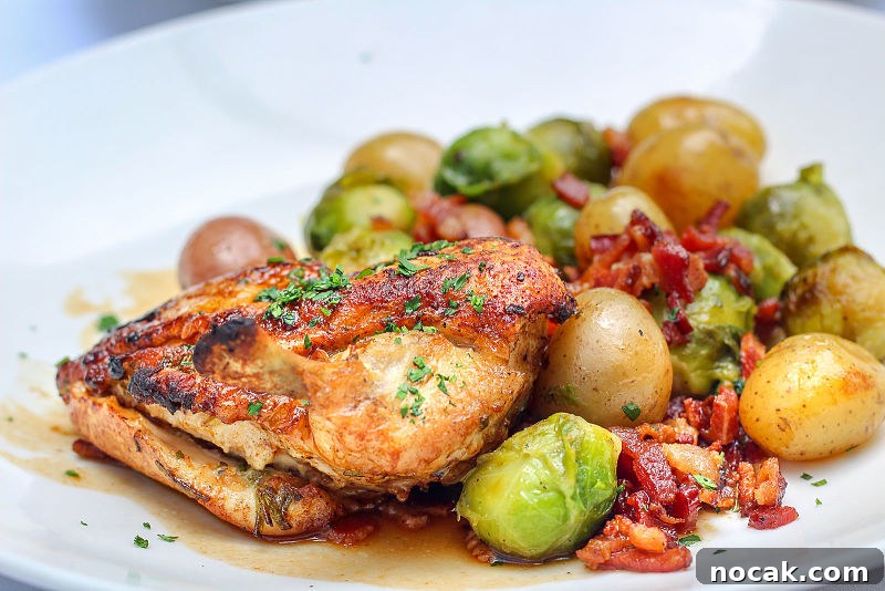 Saint Ann Dallas: In-Depth Review of the Restaurant & Menu 6 saint ann dallas brick chicken pancetta Brussels sprouts baby potatoes