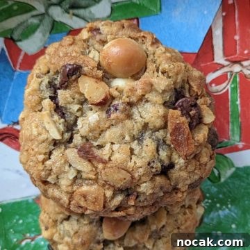 Santa Cookie Ideas for 2021: Delightful Treats to Leave Out 4 Santa Cookies
