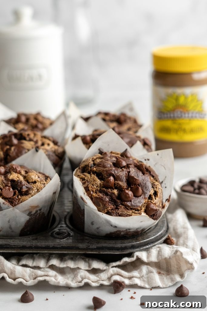 Bakery-Style Double Chocolate Chip Muffins with SunButter Swirl 3 Bakery style double chocolate chip muffin batter looking tall and fluffy in a pan.
