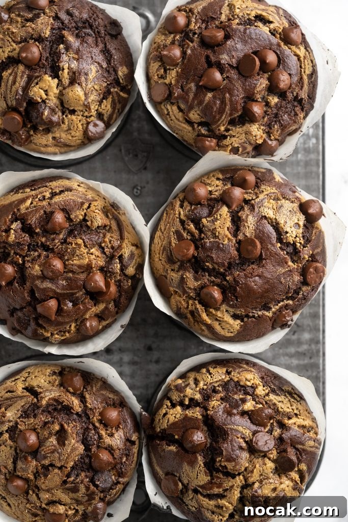 Bakery-Style Double Chocolate Chip Muffins with SunButter Swirl 8 Tops of bakery style double chocolate chip muffins