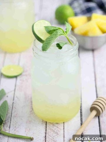 Ginger beer mocktail in a mason jar with fresh mint and lime on the jar and ingredients and another jar around it.
