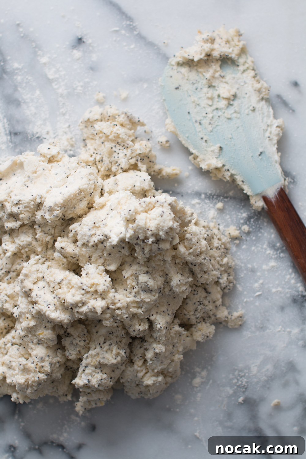 Lemon Poppy Seed Shortbread Cookies Recipe for Zesty Crumbly Treats 10 shortbread cookie dough