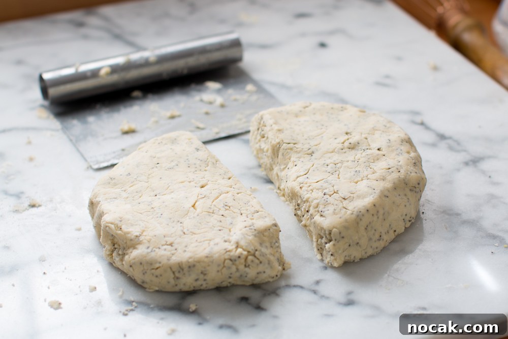 Lemon Poppy Seed Shortbread Cookies Recipe for Zesty Crumbly Treats 11 gather and divide the cookie dough
