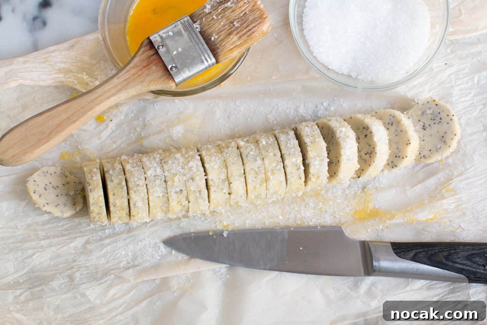 Lemon Poppy Seed Shortbread Cookies Recipe for Zesty Crumbly Treats 16 Lemon Poppy Seed Shortbread Cookies-14