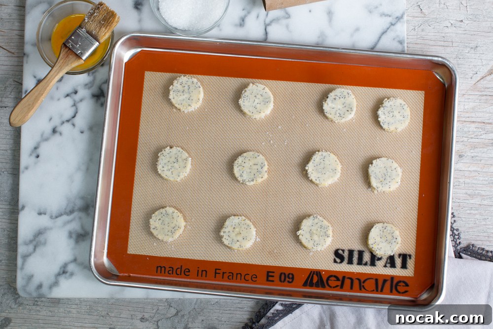 Lemon Poppy Seed Shortbread Cookies Recipe for Zesty Crumbly Treats 17 Lemon Poppy Seed Shortbread Cookies-13