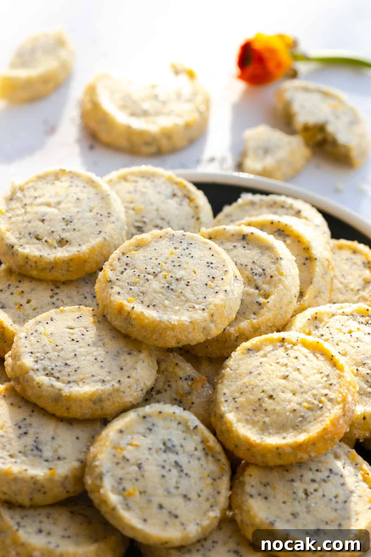 Lemon Poppy Seed Shortbread Cookies Recipe for Zesty Crumbly Treats 19 easy lemony poppy seed cookies