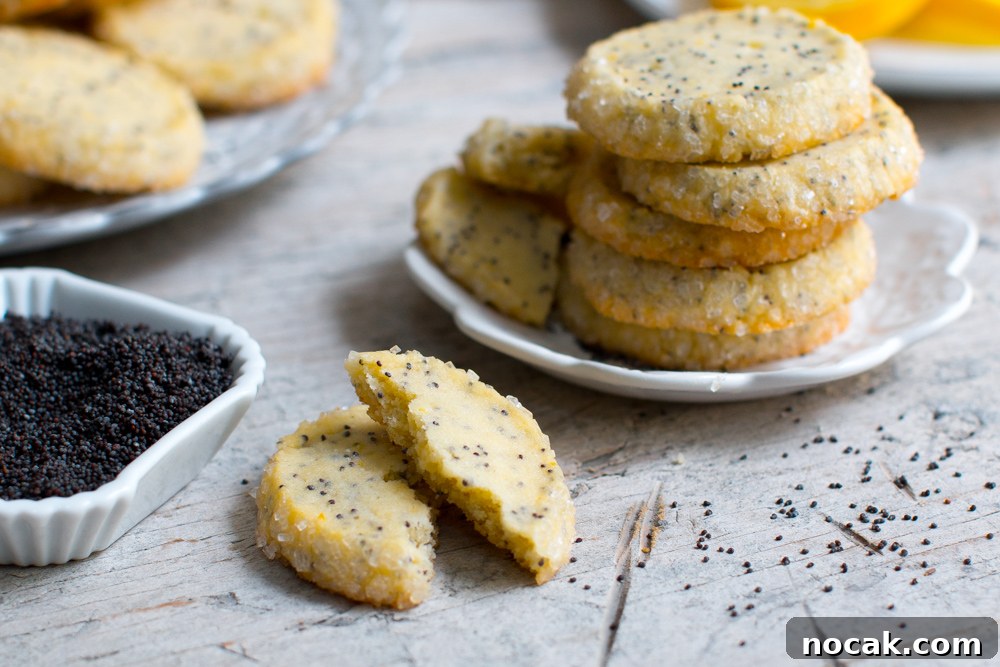 Lemon Poppy Seed Shortbread Cookies Recipe for Zesty Crumbly Treats 21 Lemon Poppy Seed Shortbread Cookies