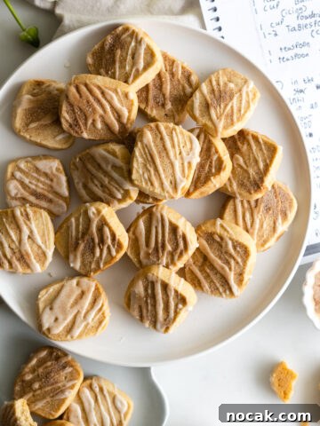 Snickerdoodle Shortbread Cookies by Nelle