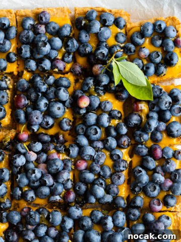 Blueberry Lemon Curd Poppy Seed Shortbread Bars by Baking The Goods