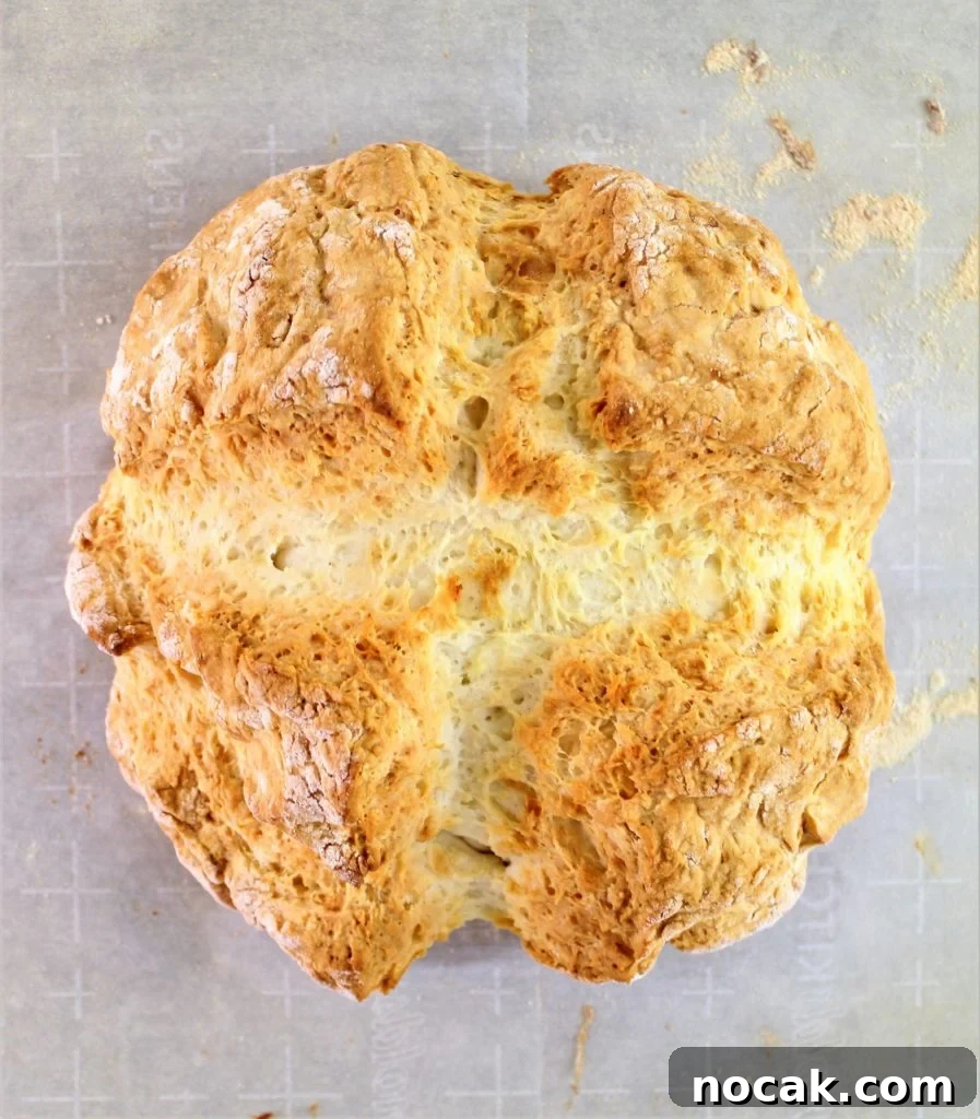 fully baked bread