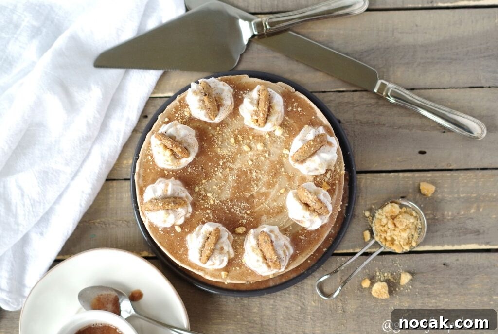Gluten-Free Vegan Cinnamon Roll Ice Cream Cake Recipe 5 top down view of a gluten free ice cream cake with snickerdoodles on top