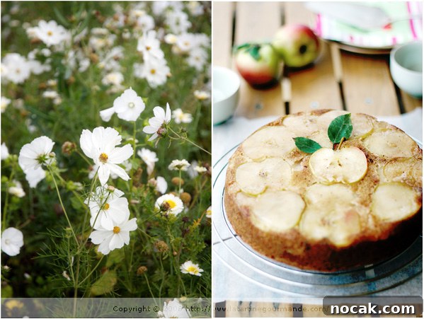 Seasonal Apple Cake — French Apple Cake Recipe for Fall 12 img 5936 11