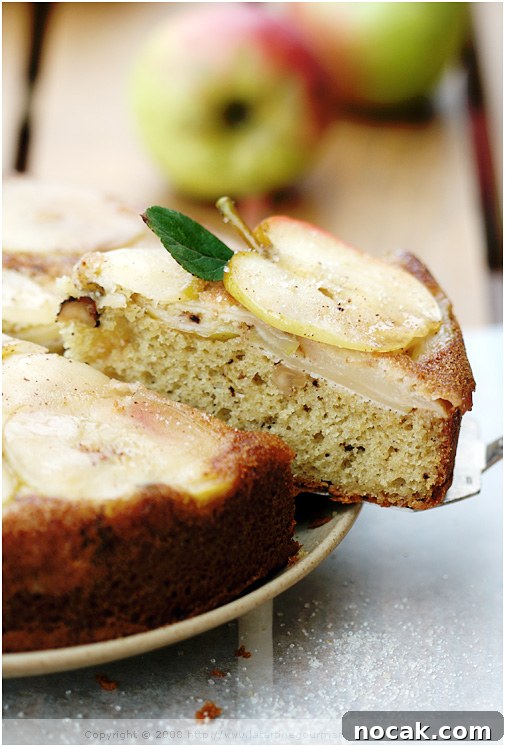 Seasonal Apple Cake — French Apple Cake Recipe for Fall 7 img 5936 6