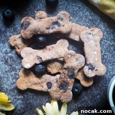 Homemade Liver Brownies: Irresistible Dog Treat Recipe 14 A pile of blueberry dog biscuits and blueberries on a gray background with a yellow flower and a yellow napkin.