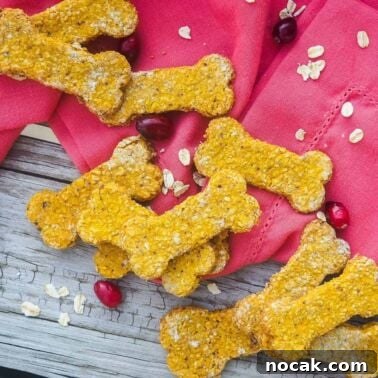 Homemade Liver Brownies: Irresistible Dog Treat Recipe 15 Bone shaped dog treats on a pink napkin with cranberries and oats scattered on a wood floor.