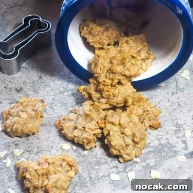 Homemade Liver Brownies: Irresistible Dog Treat Recipe 16 Peanut butter and banana dog treats spilling out of a cookie jar.
