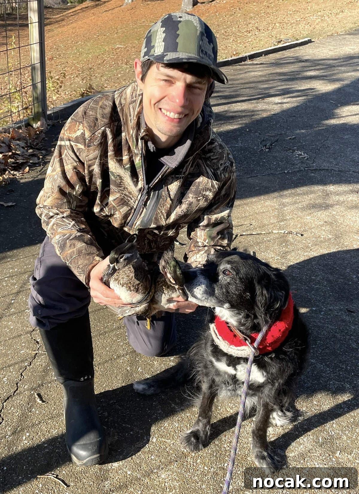 Homemade Liver Brownies: Irresistible Dog Treat Recipe 9 A man in camouflage holding two ducks and a black dog sniffing them.
