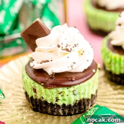Oreo Chocolate Mint Mini Cheesecakes for St. Patrick’s Day 7 Close up photo of a mini chocolate mint cheesecake on a gold foil cupcake liner on a pink surface.