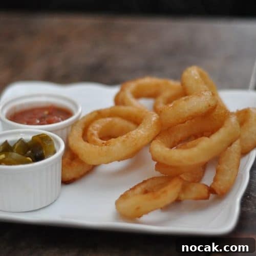 Crispy Air Fryer Curly Fries Recipe and Tips 2 Curly Fries in Air Fryer