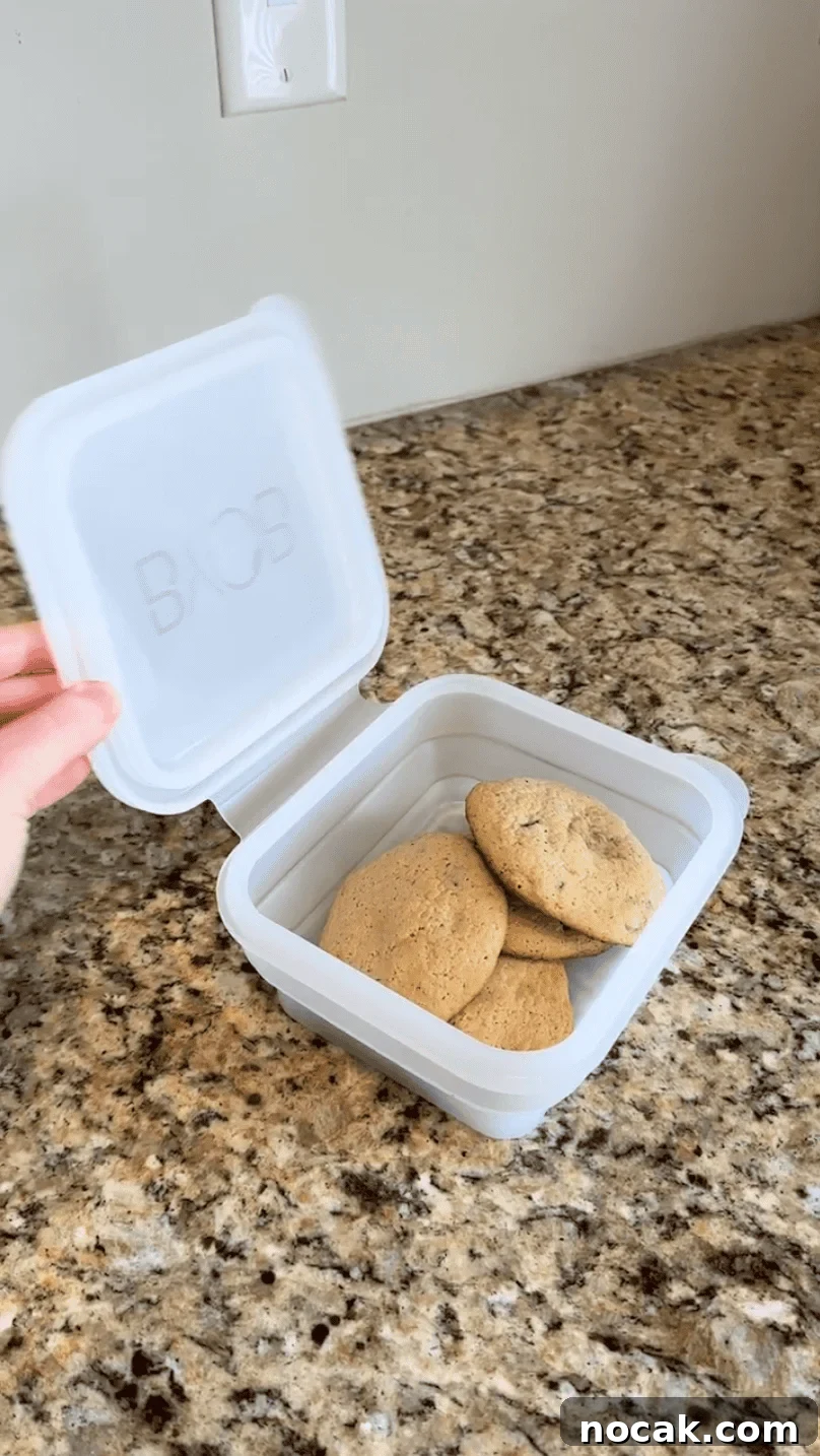 Collapsible silicone box from BYOB filled with cookies