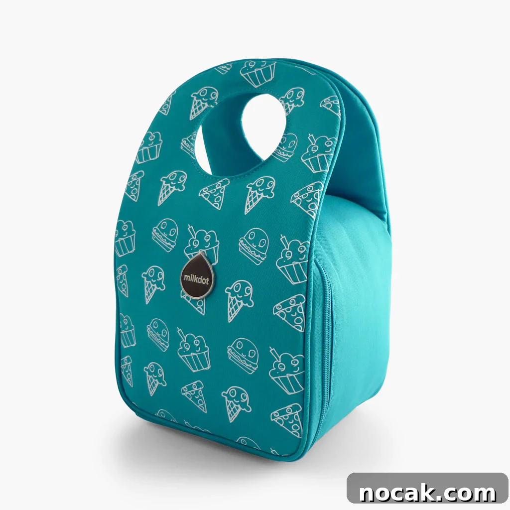 Insulated kids' lunch bag with fun prints