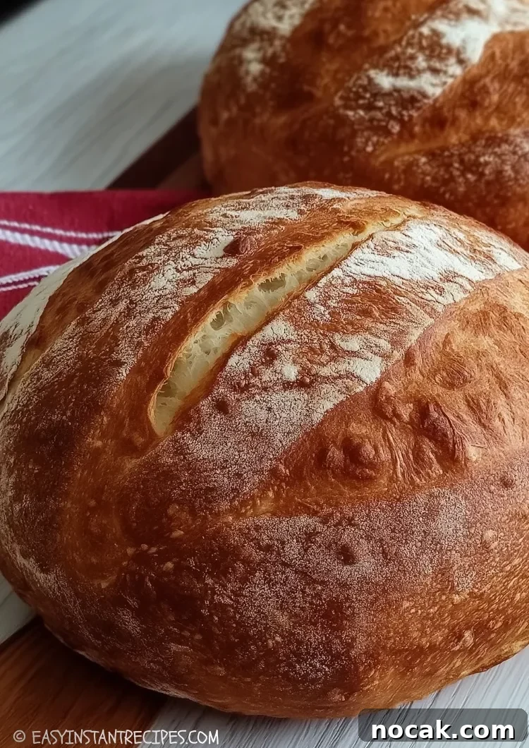 Quick German Bread Recipe (No Knead, Rustic & Easy)