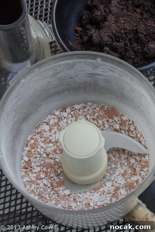 Turn Breakfast Scraps into Nutrient-Rich Compost for Your Garden 3 Breakfast Scraps Can Benefit Your Tomato Plants!