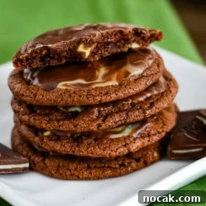 Chocolate Andes Mint Cookies Recipe — Step-by-Step Guide 8 img 69174 7