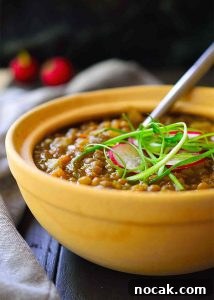 Spanish-Style Vegan Lentil Stew