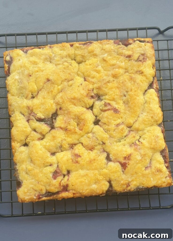 Chewy Blueberry Bars with Lemon Glaze—Simple Summer Dessert 2 blueberry bars - fresh blueberry recipe