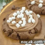 Easy Hot Cocoa Cookies Story Poster Image