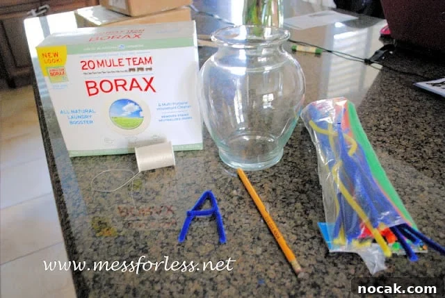 Make Borax Crystal Letters: Step-by-Step DIY Guide 3 borax crystal letters