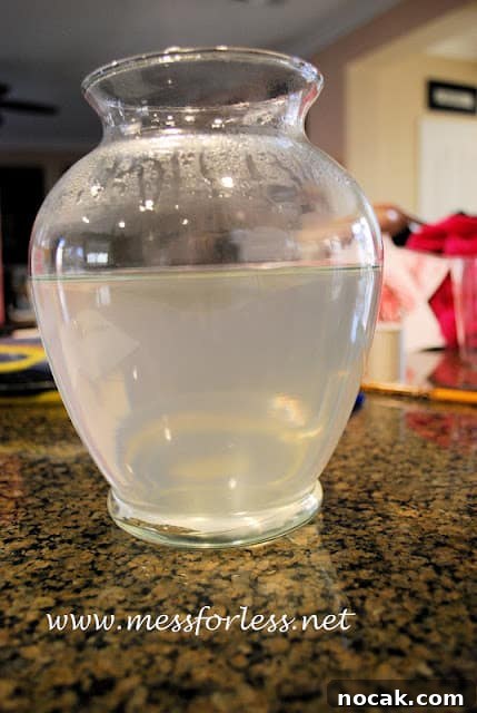 Make Borax Crystal Letters: Step-by-Step DIY Guide 4 vase with water