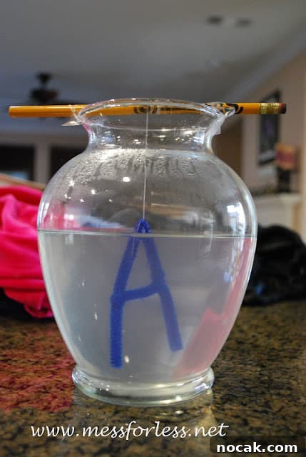Make Borax Crystal Letters: Step-by-Step DIY Guide 5 pipe cleaner a hanging in vase