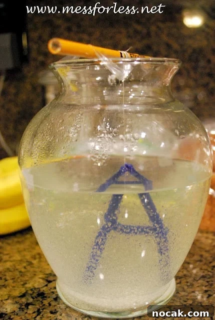 Make Borax Crystal Letters: Step-by-Step DIY Guide 6 borax crystal letters