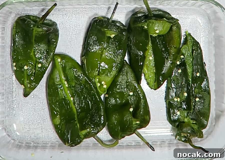 Baked Poblano Chiles Rellenos with Turkey Taco Filling 12 img 741 11